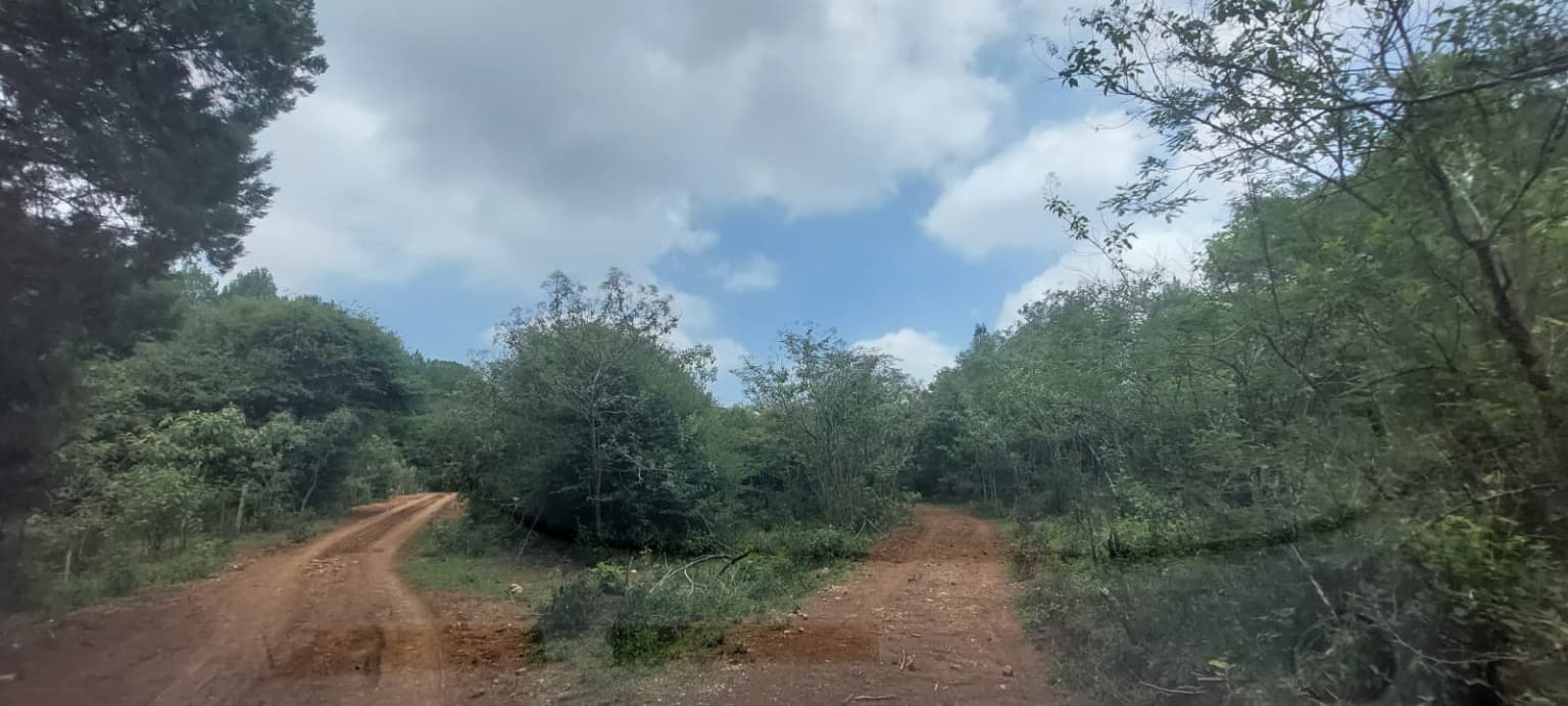 image-19