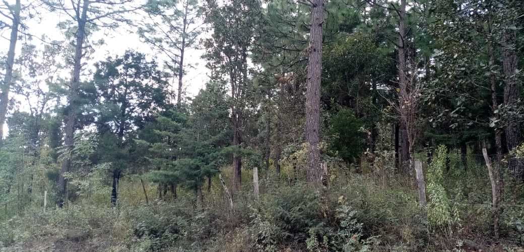 image-0