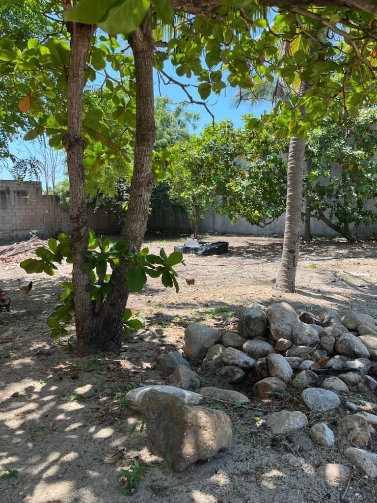 image-14