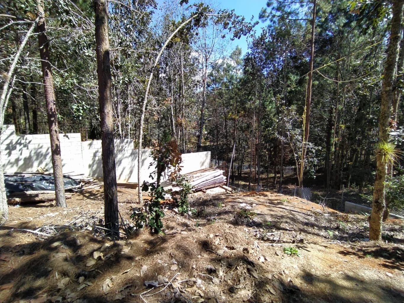 image-6