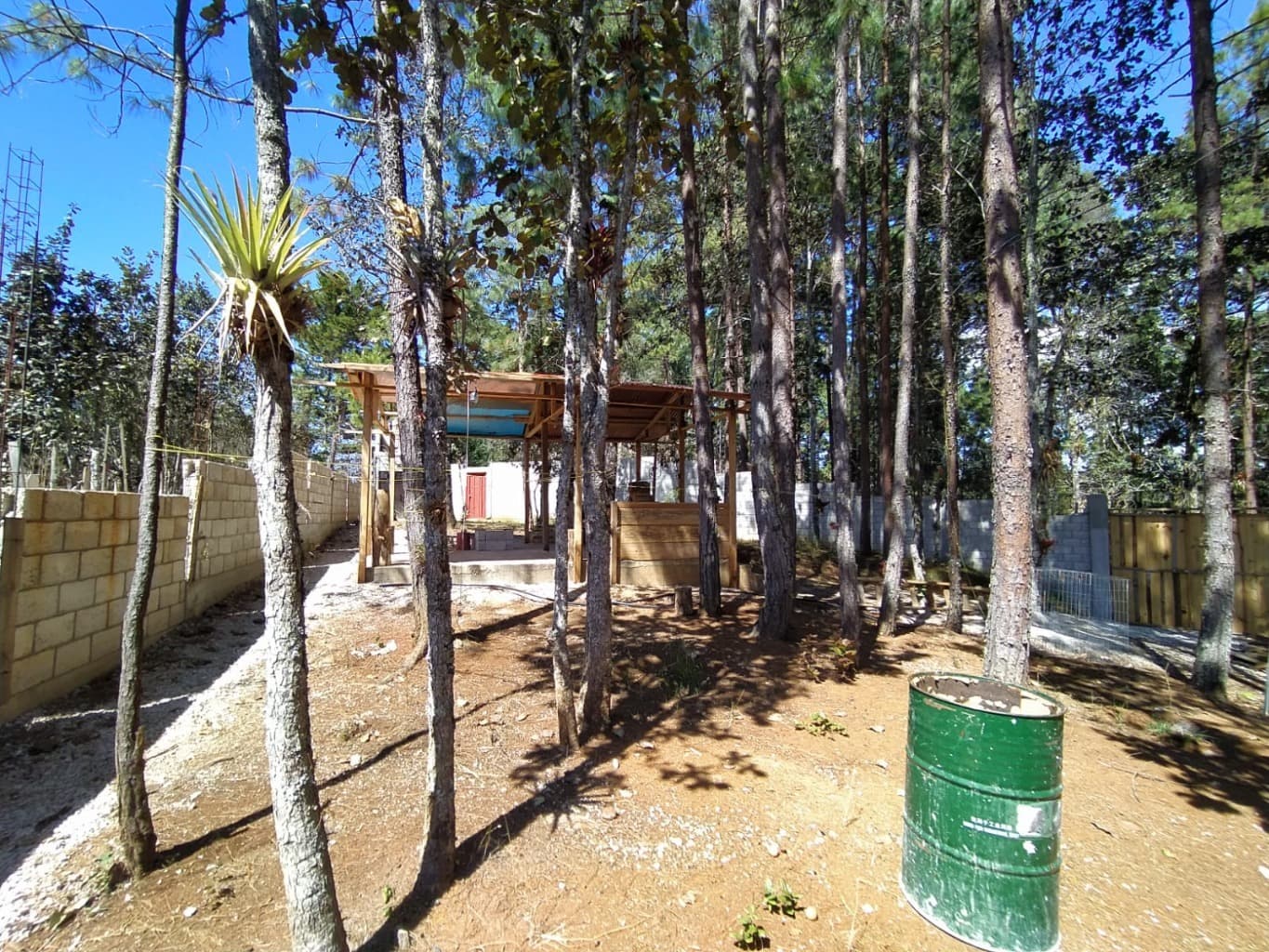 image-11