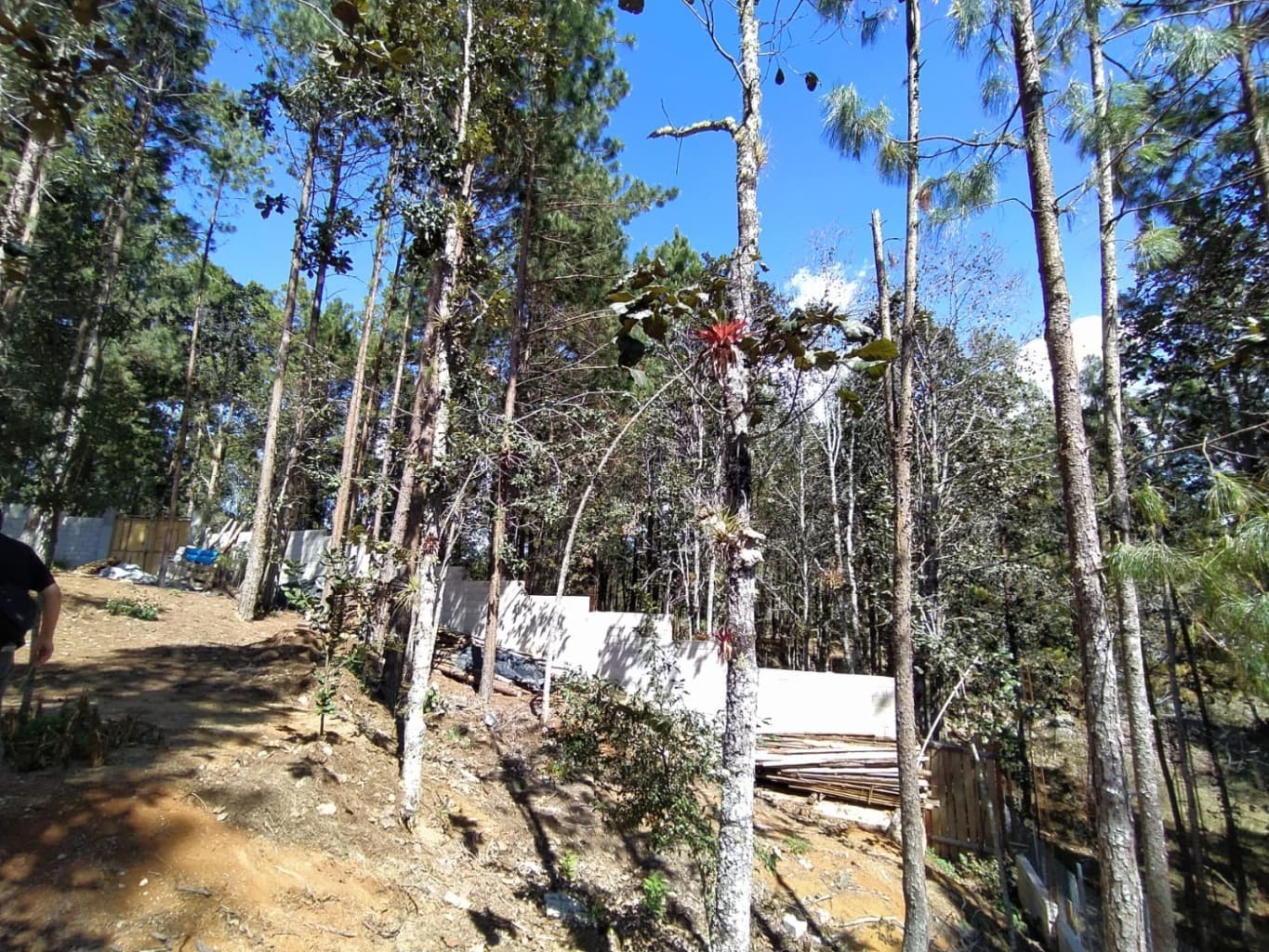 image-14