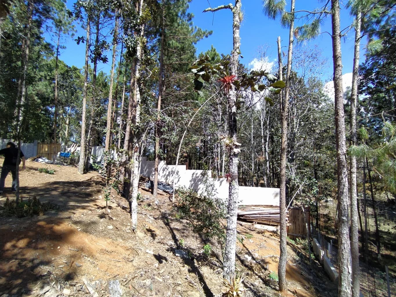 image-15