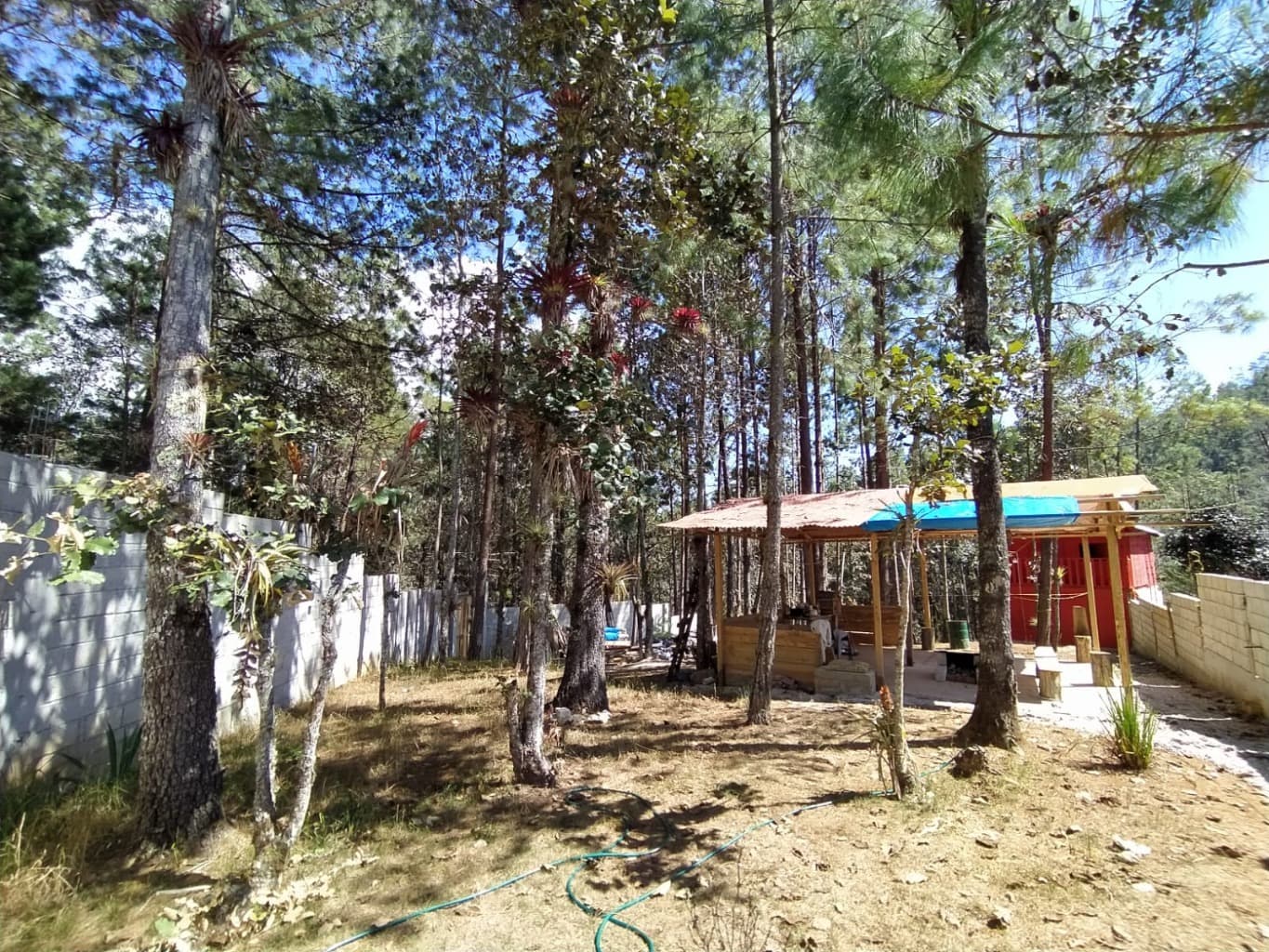 image-2