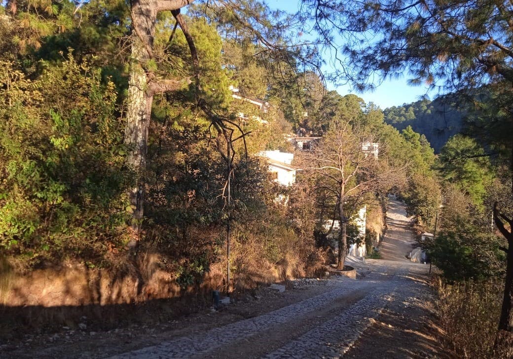 image-5