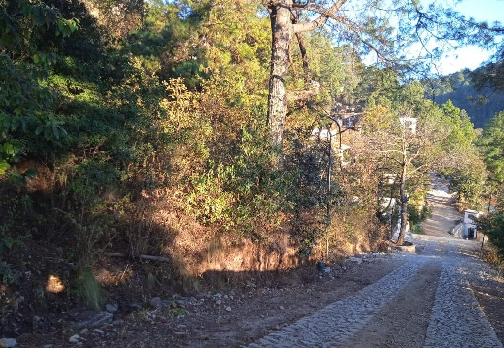 image-14