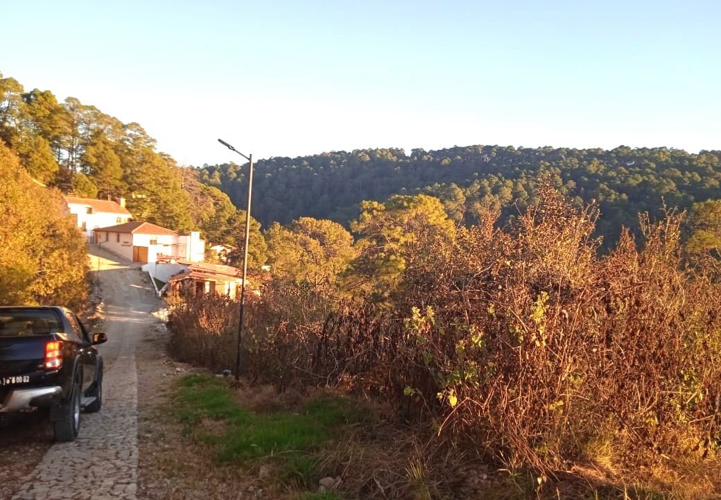 image-0