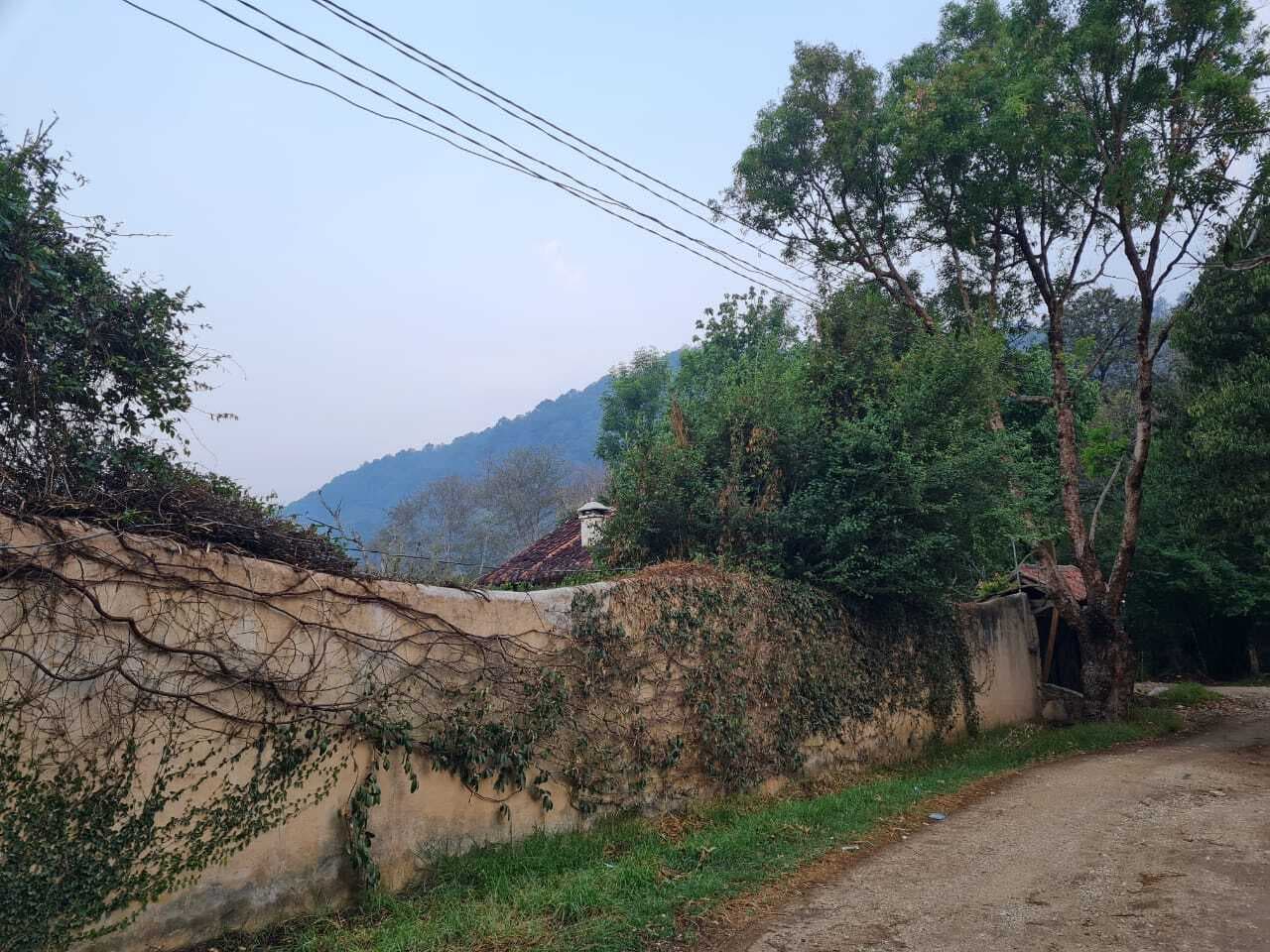 image-36