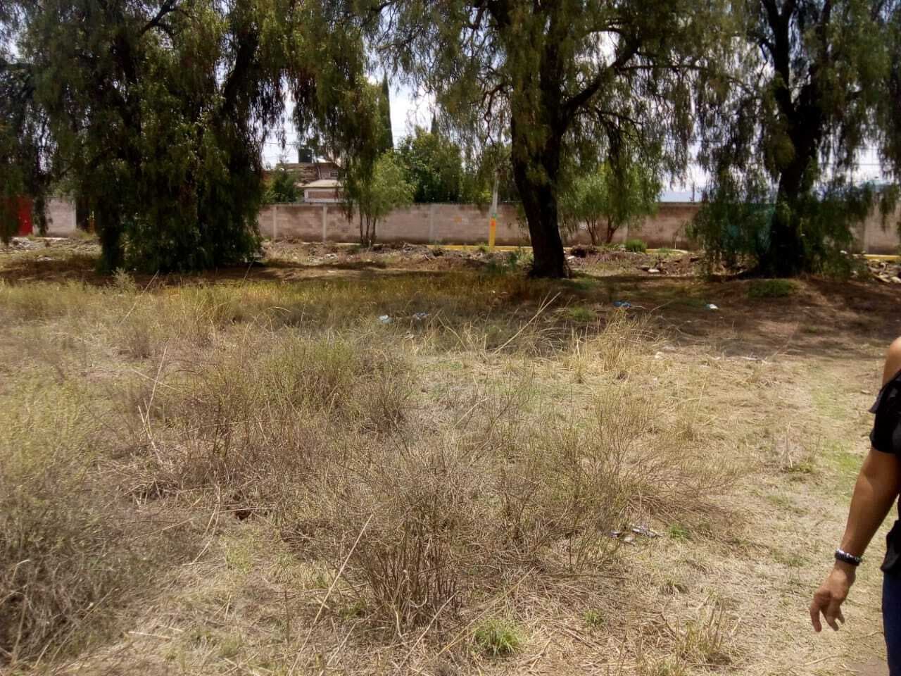 image-6