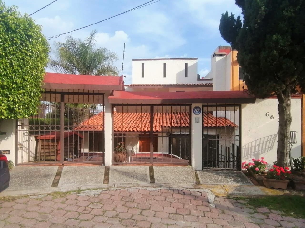 image-0