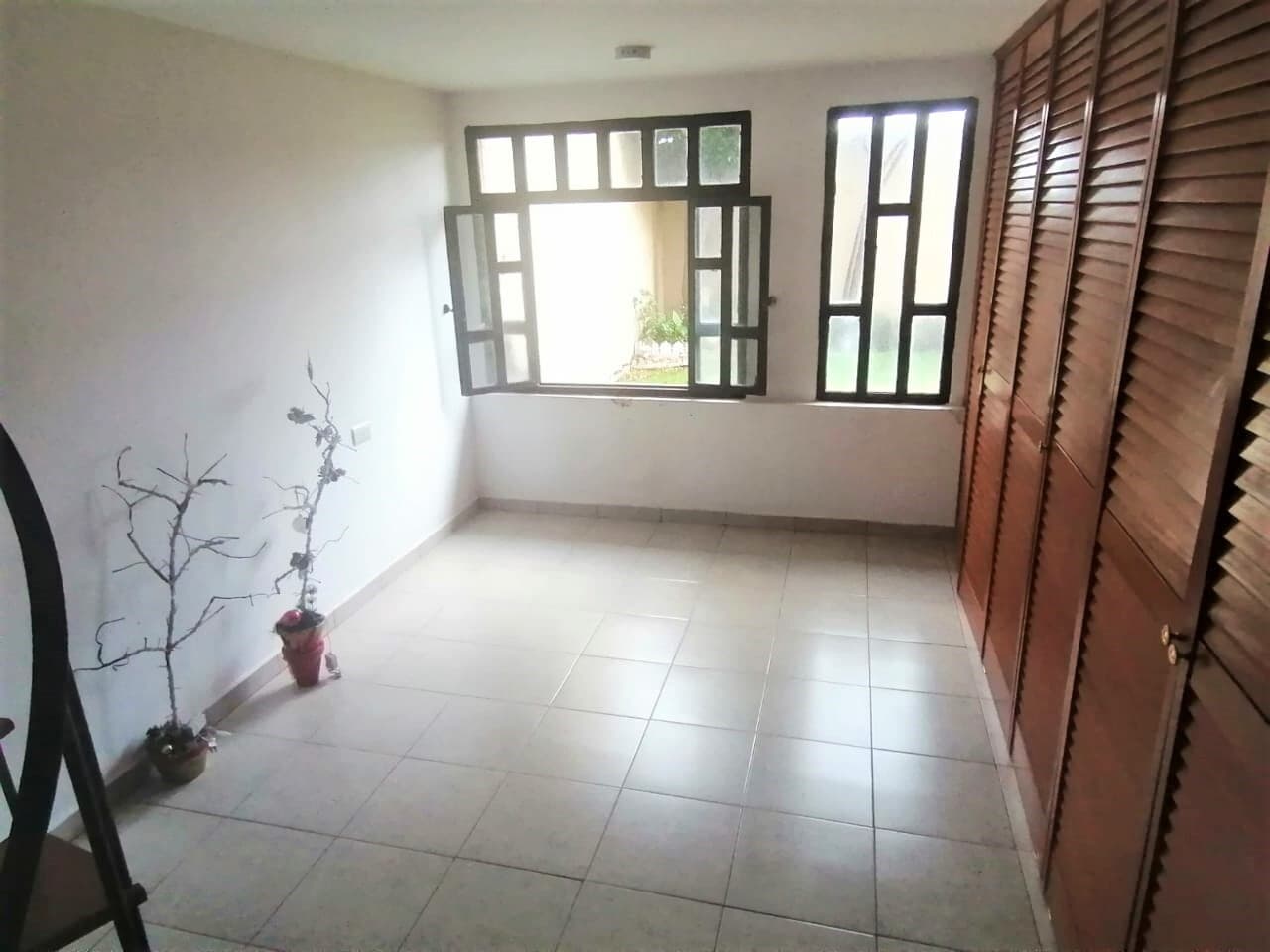 image-19