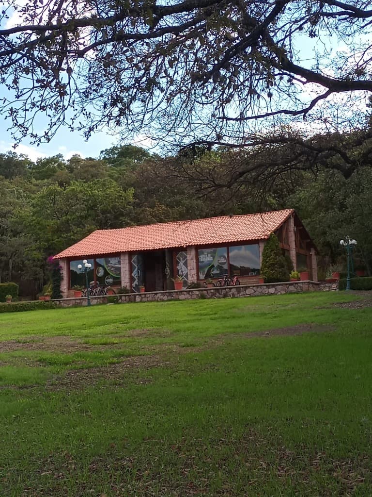 image-6