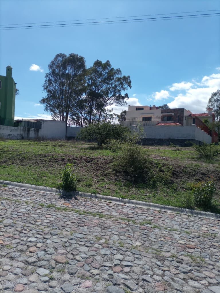 image-2