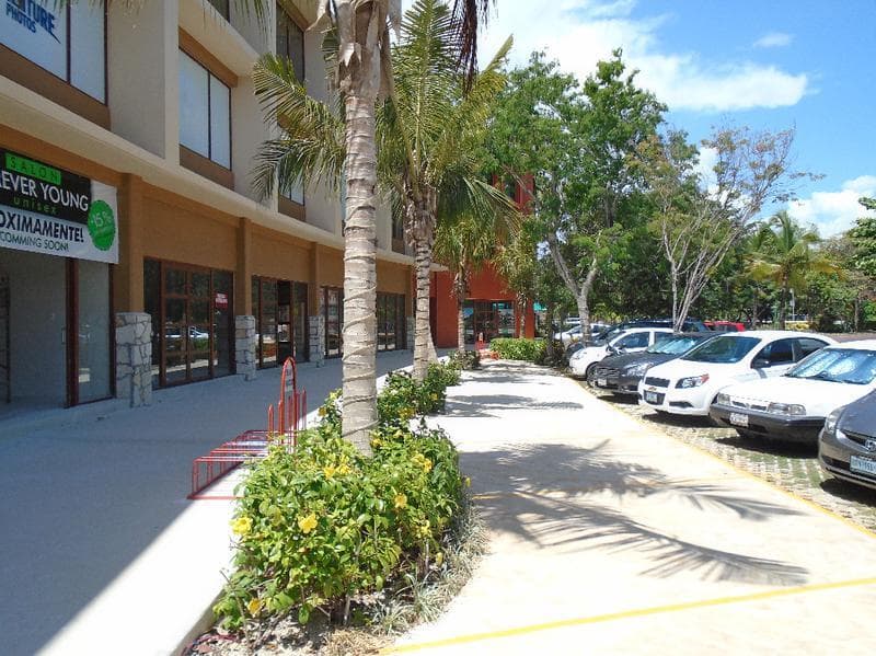 image-3