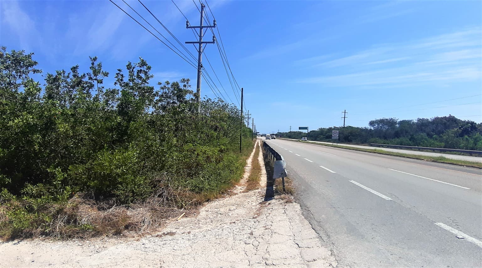 image-0