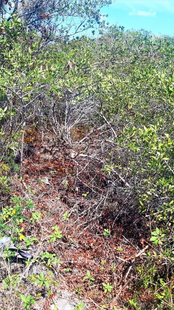 image-17