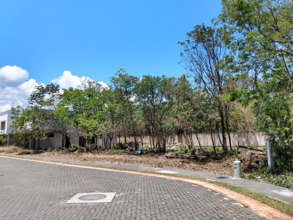 image-5