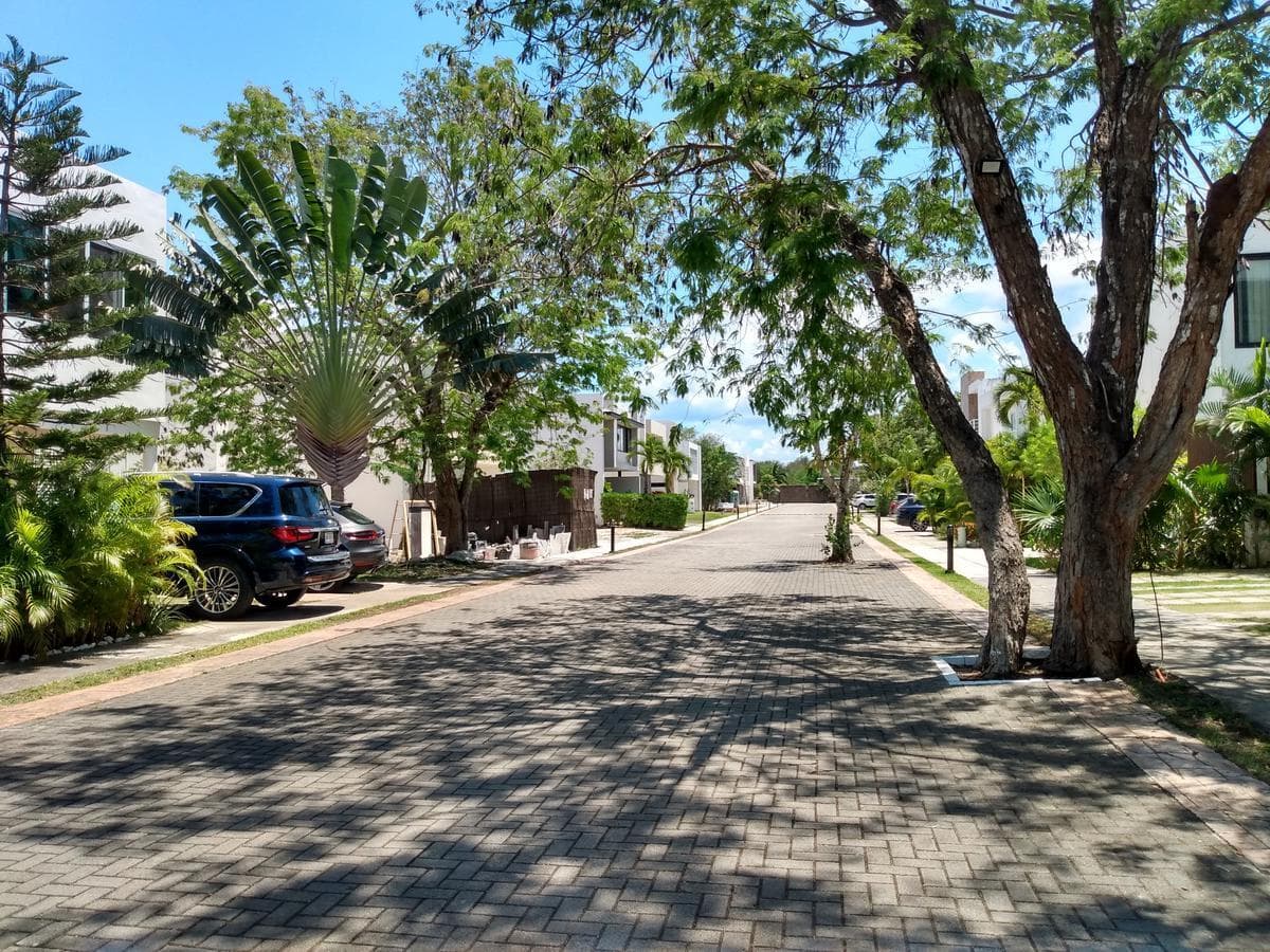 image-17