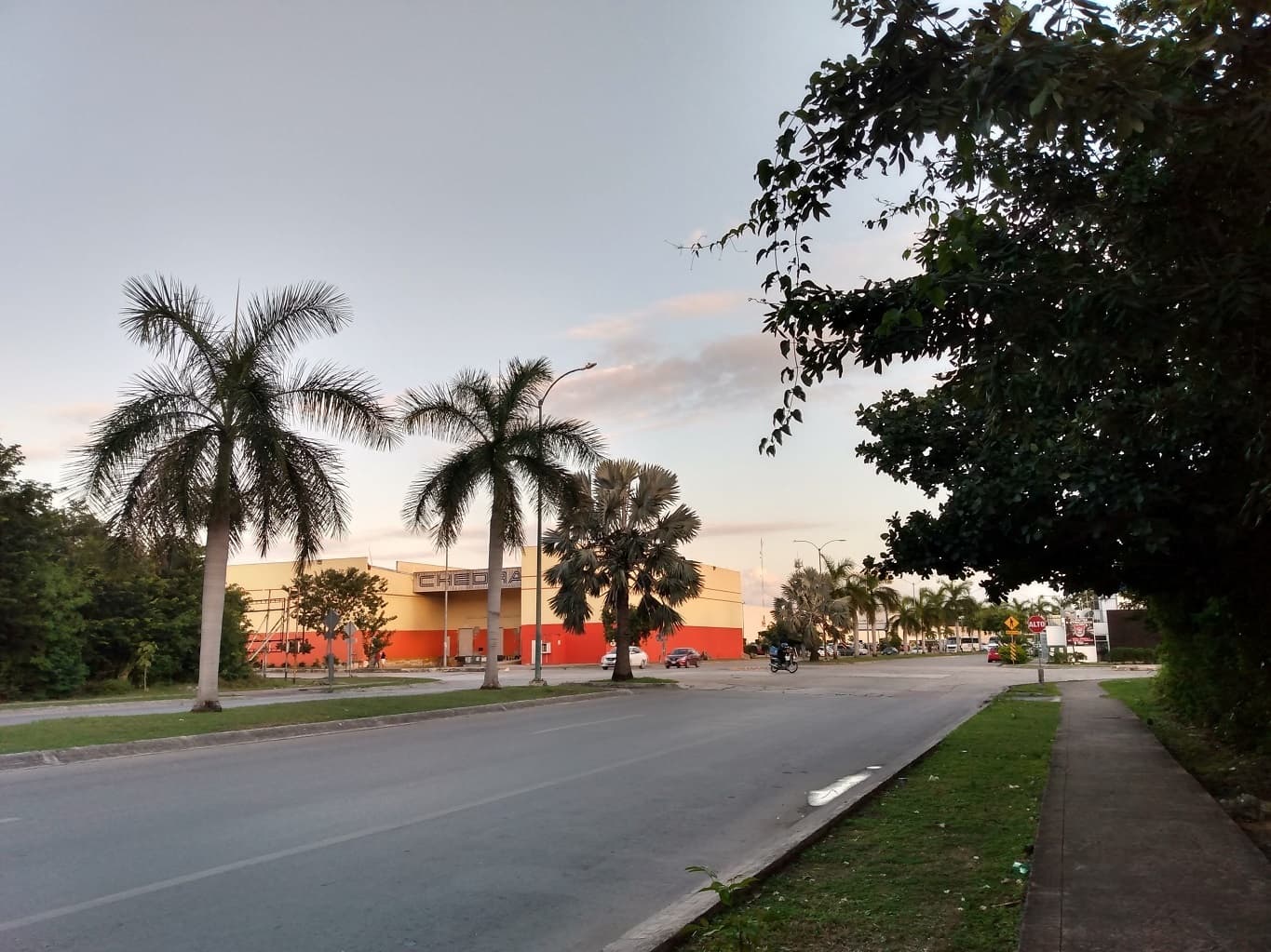 image-7
