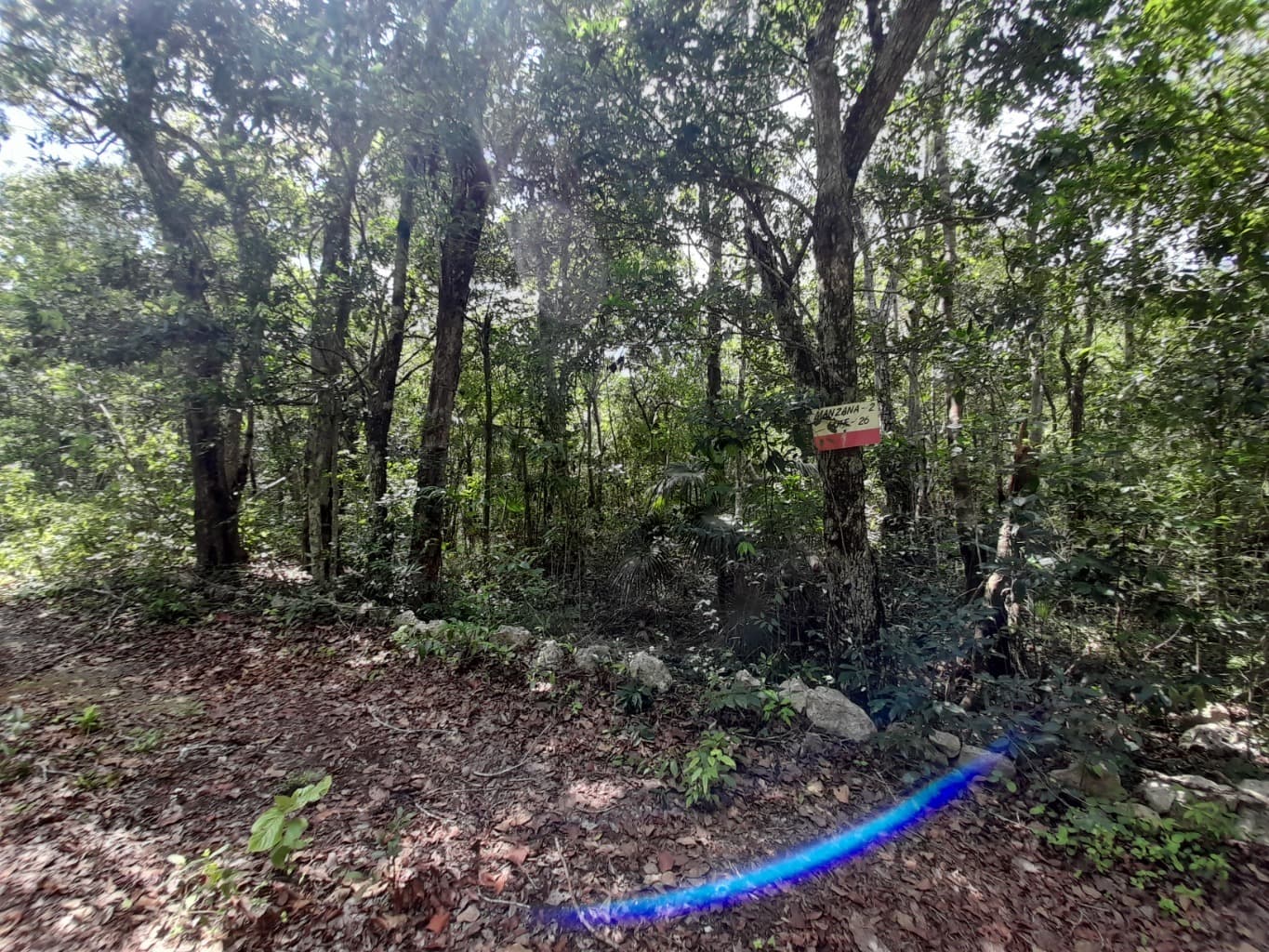 image-2