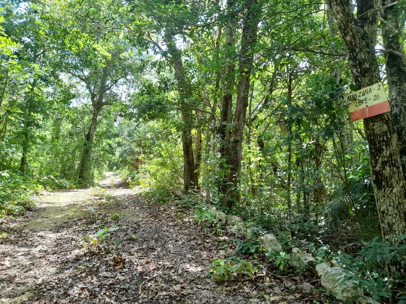 image-4