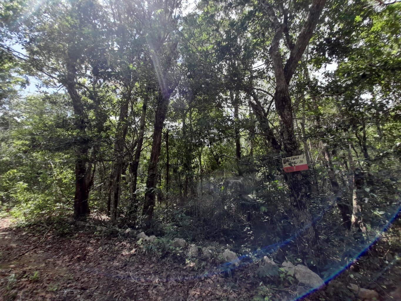 image-7