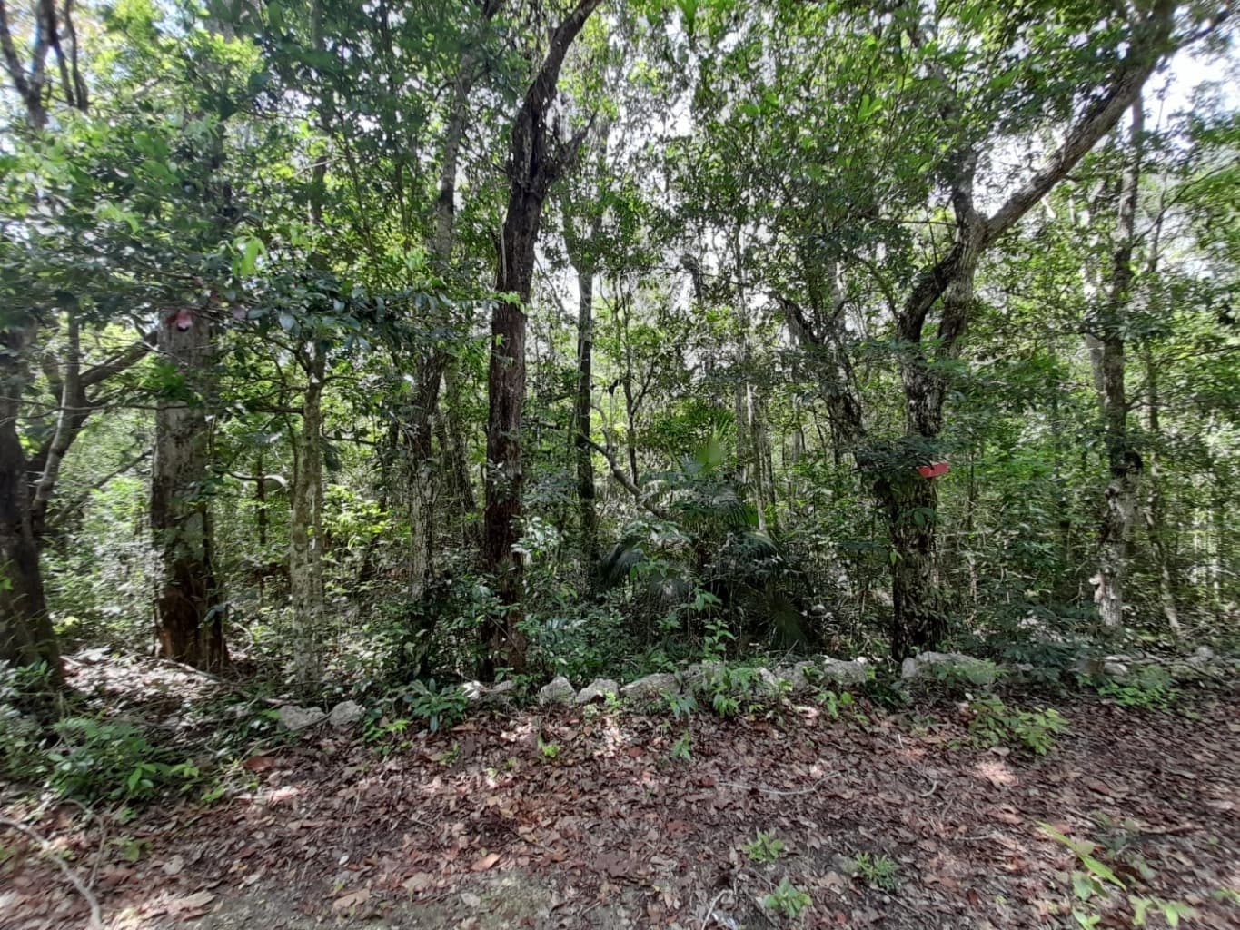 image-13