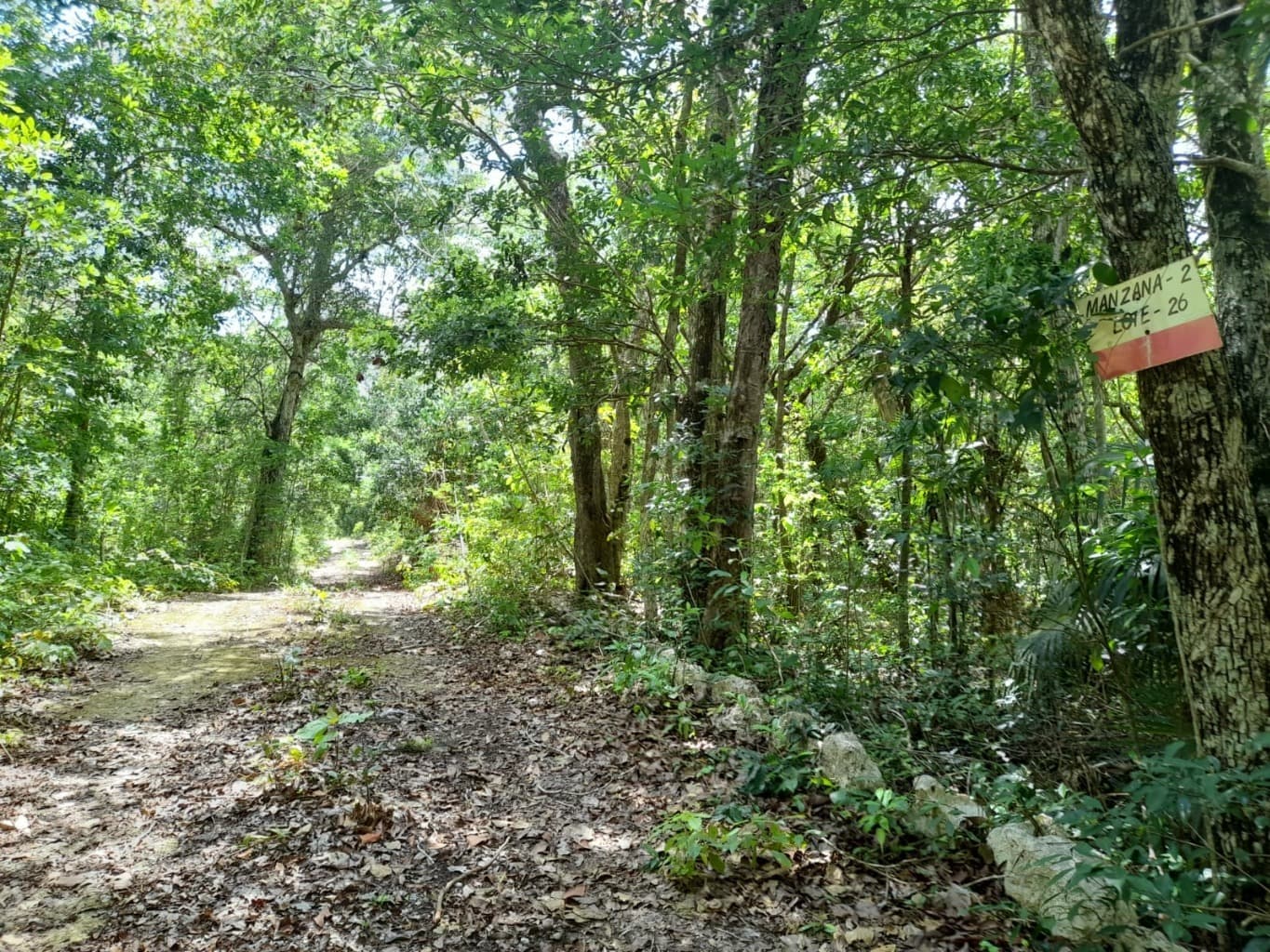 image-14