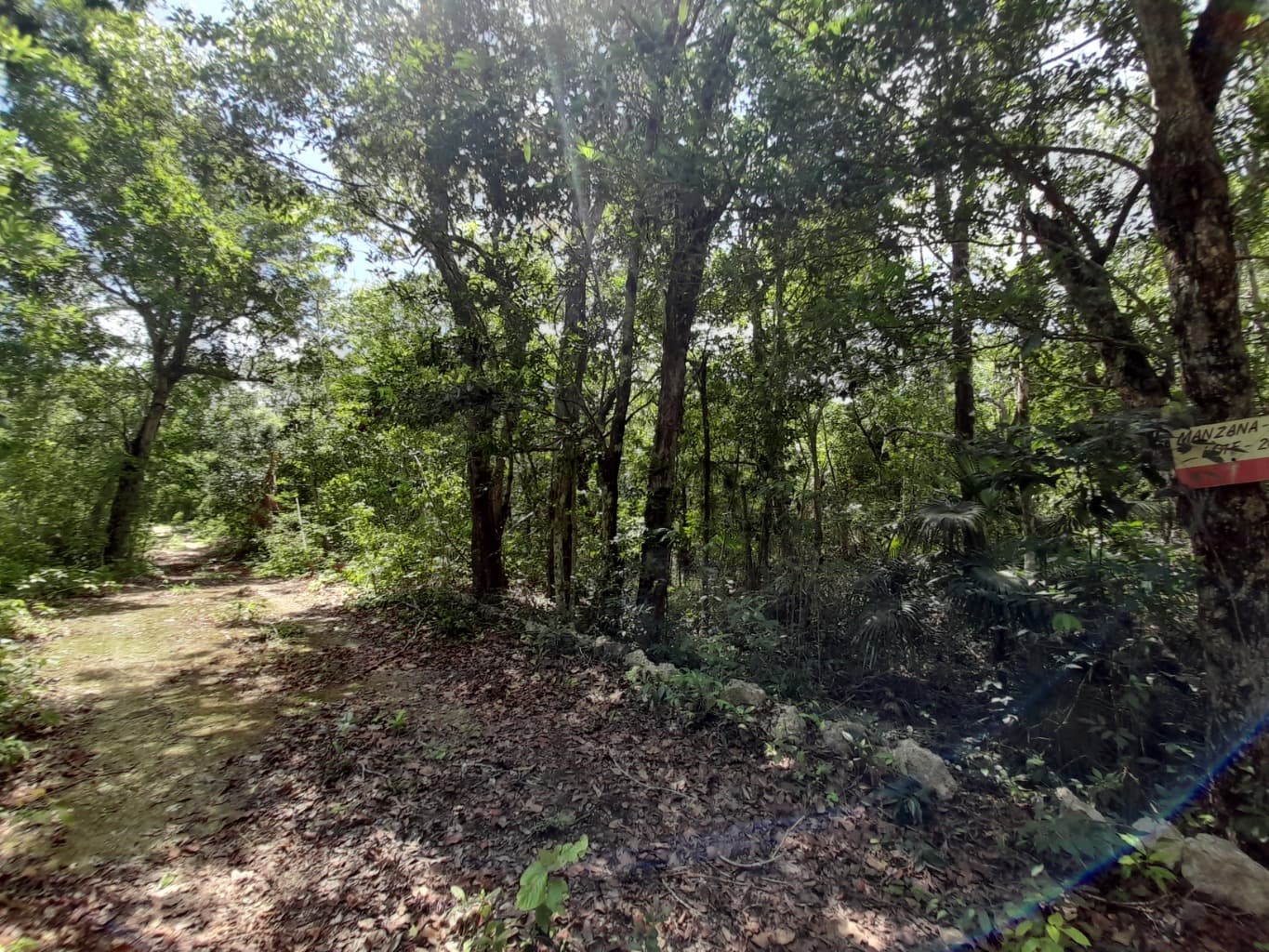 image-8