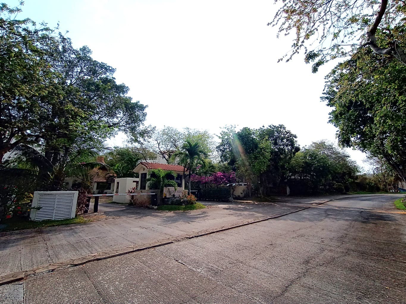 image-20