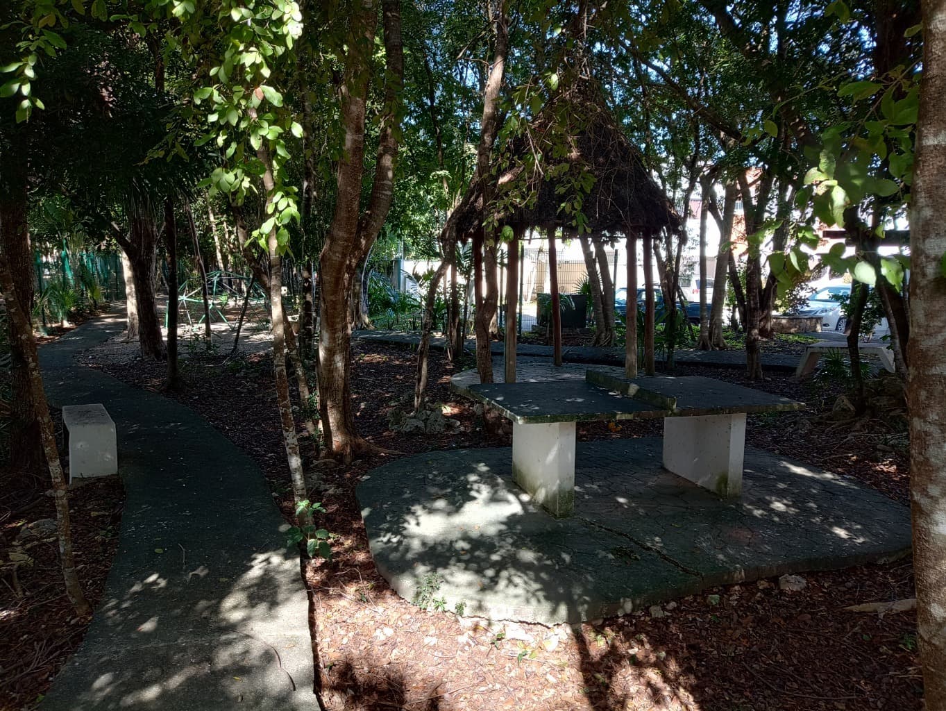 image-20