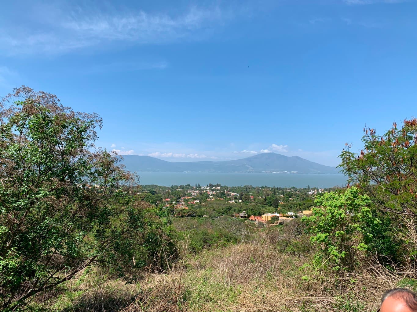 image-4