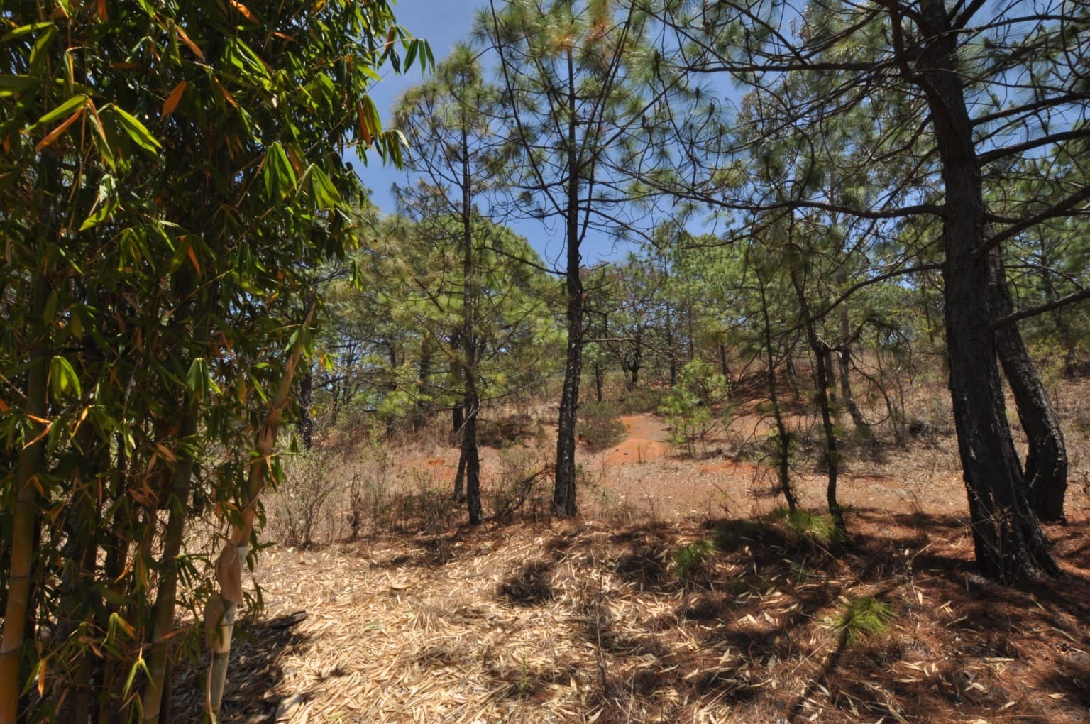 image-6