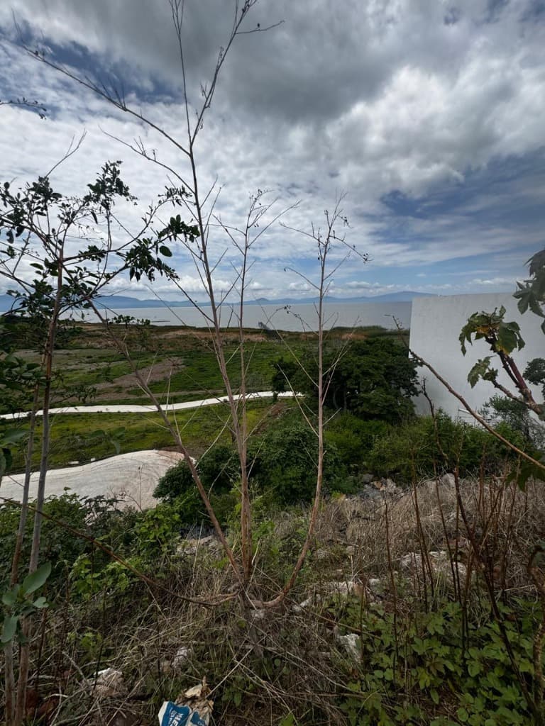 image-4
