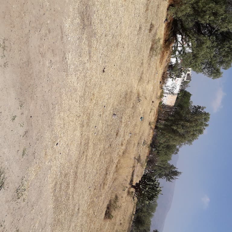 image-0