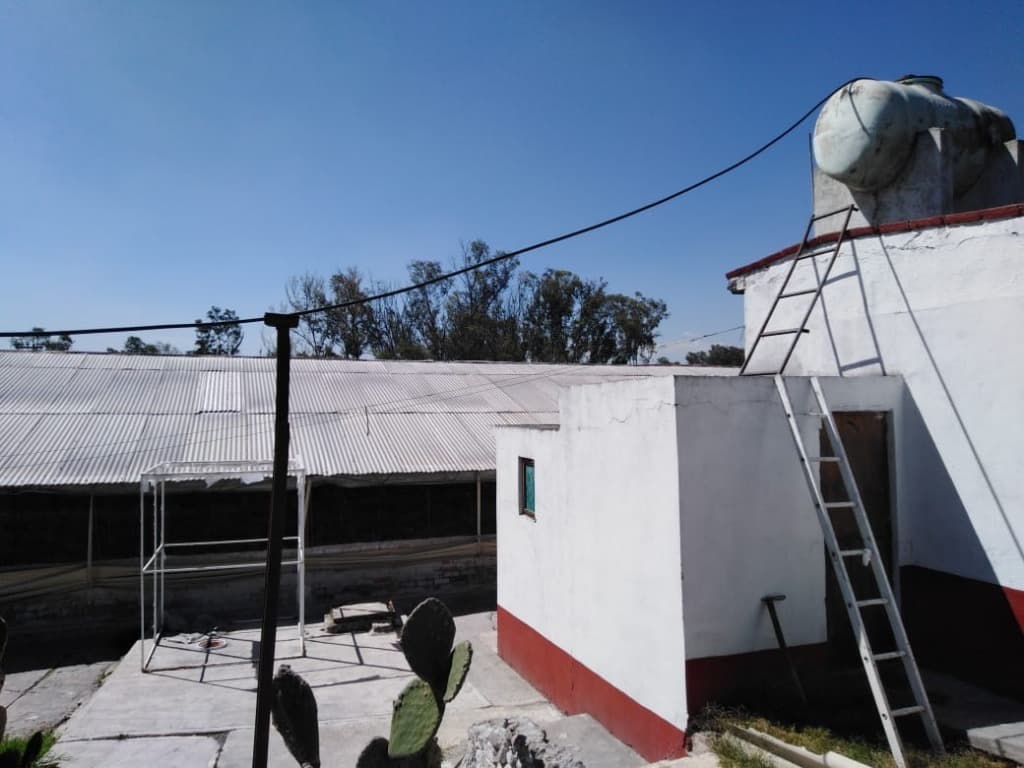 image-0