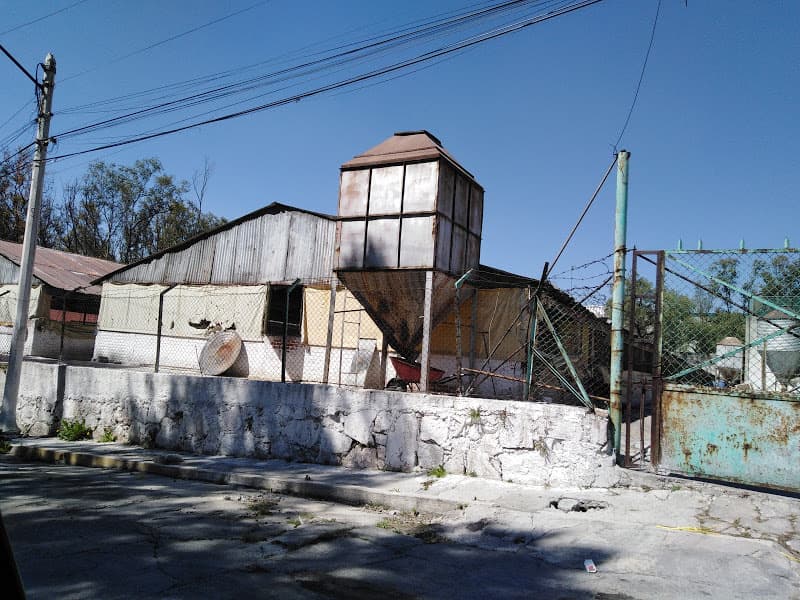 image-5