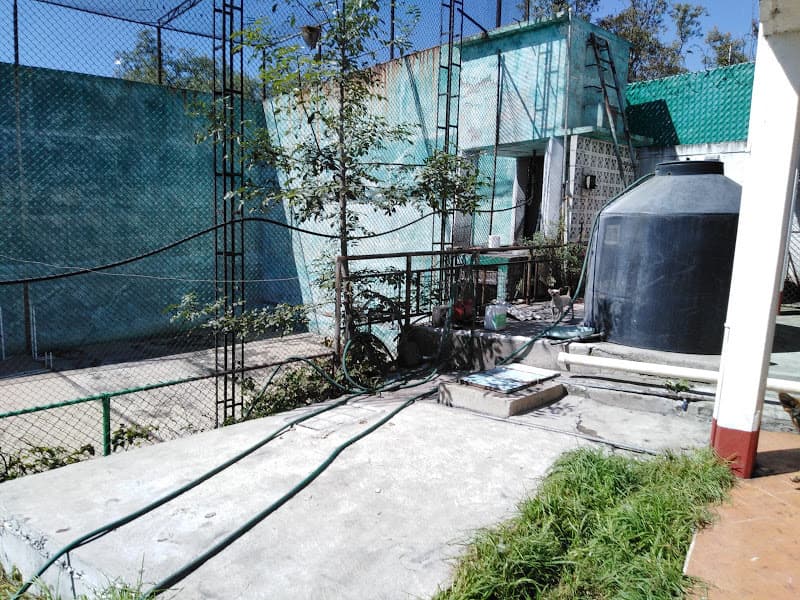 image-7