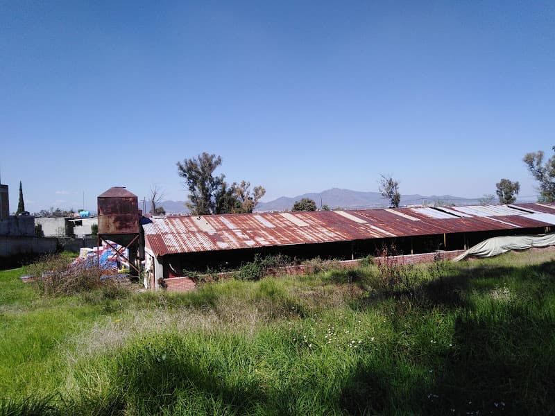 image-10