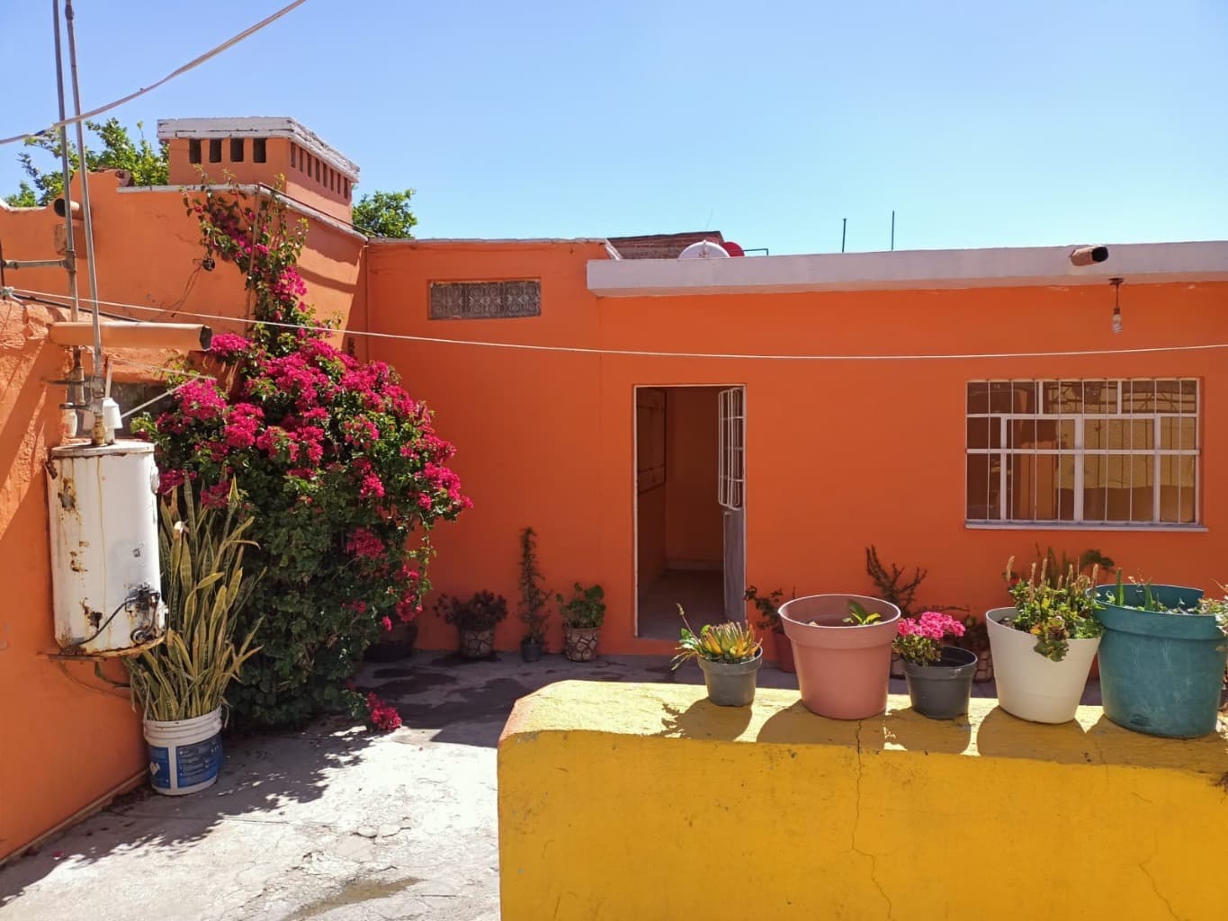 image-9