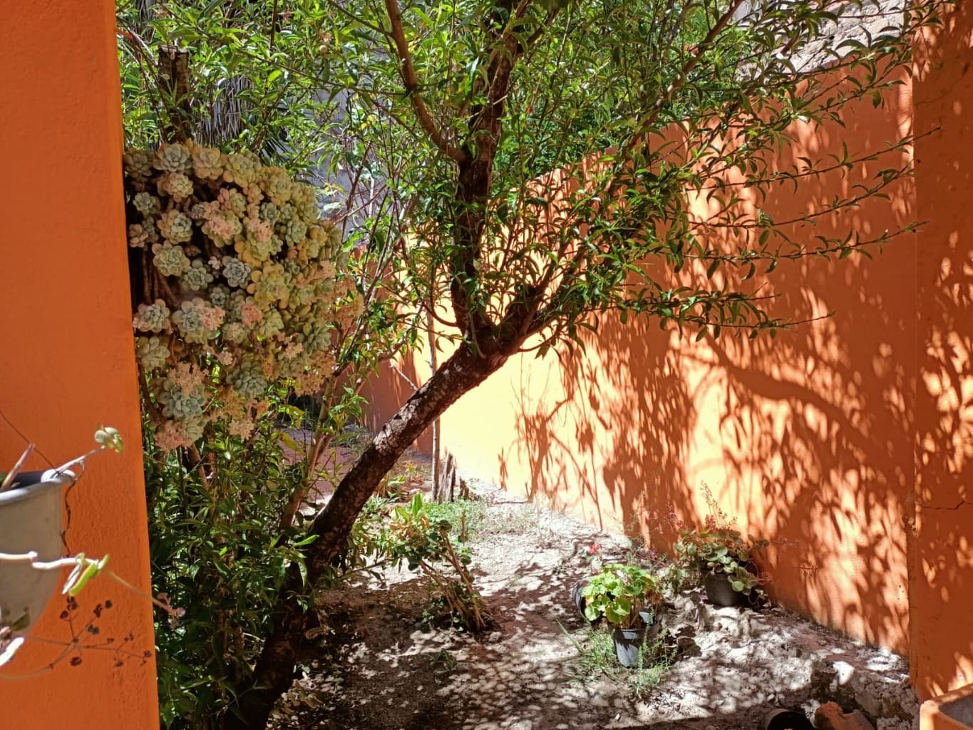 image-46