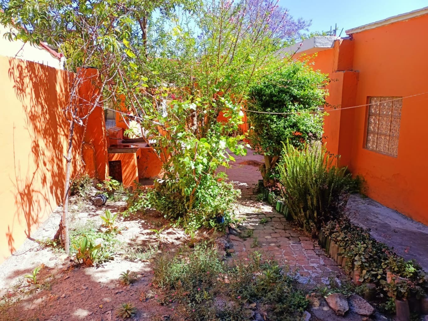 image-44