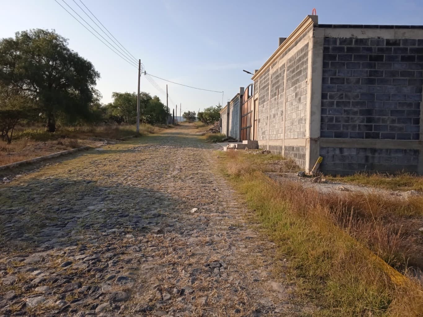 image-3