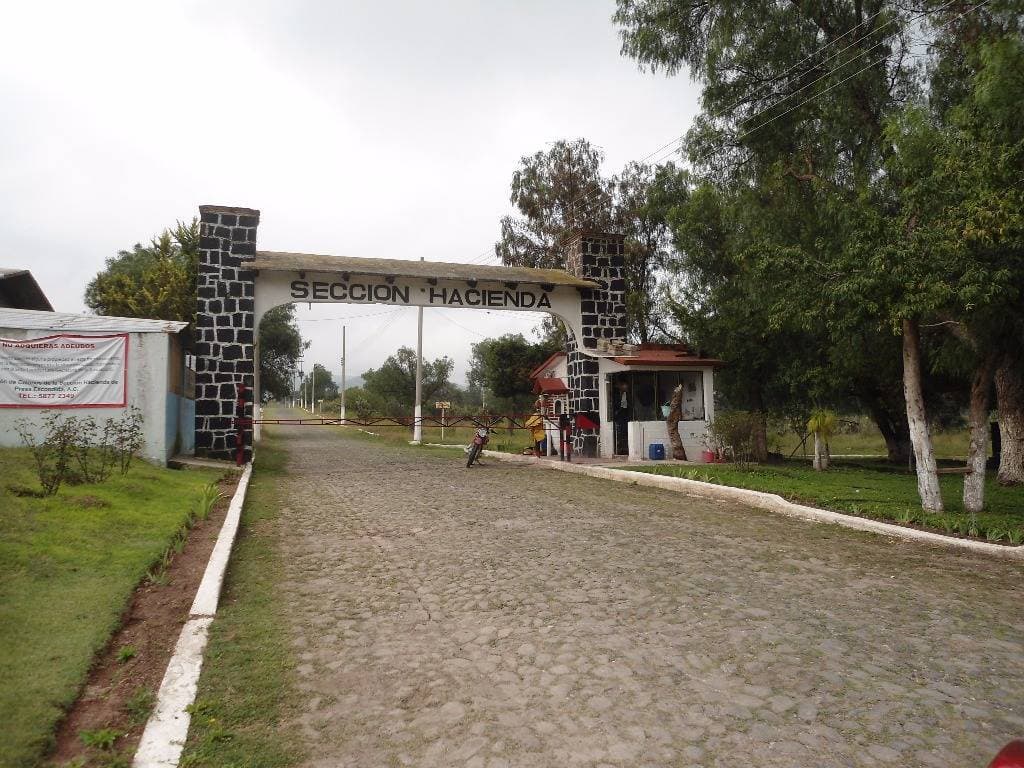 image-0