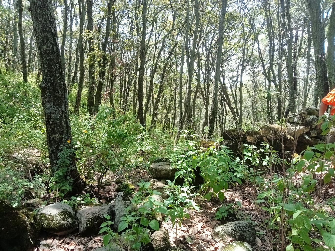 image-14