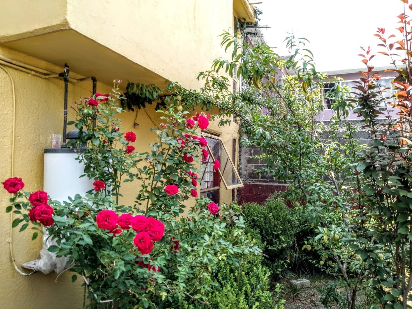 image-9