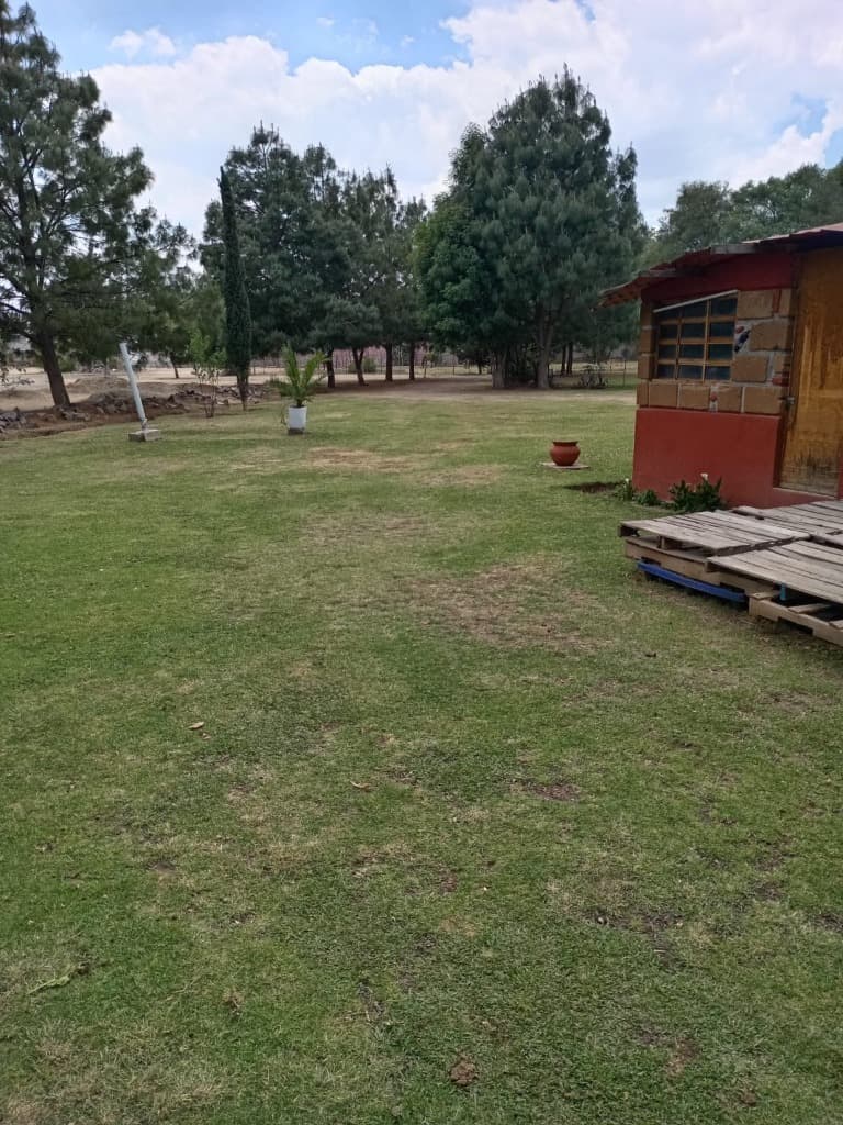 image-27