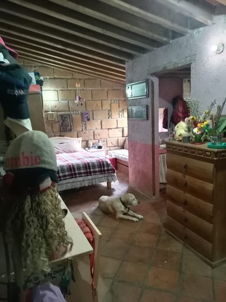 image-20