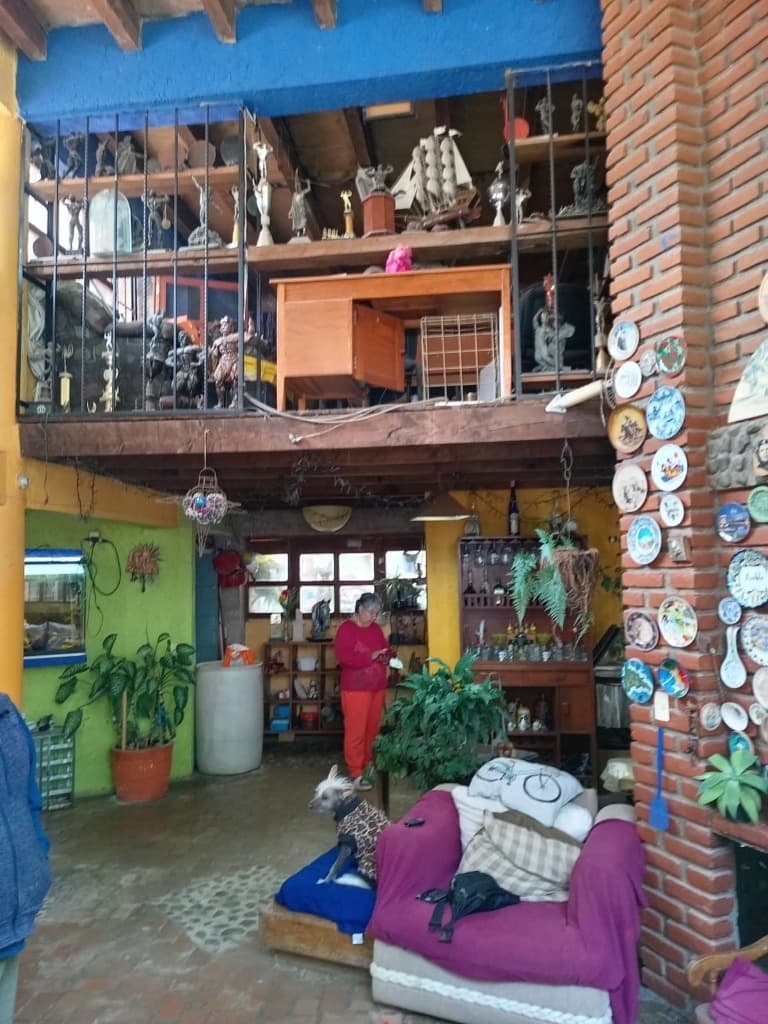 image-5