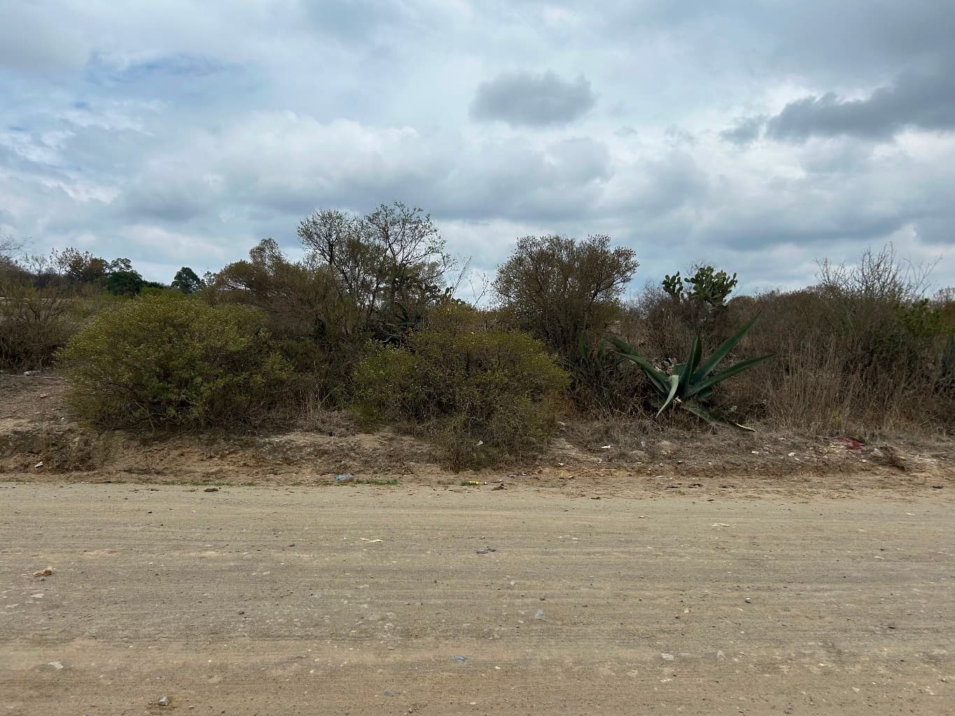 image-4